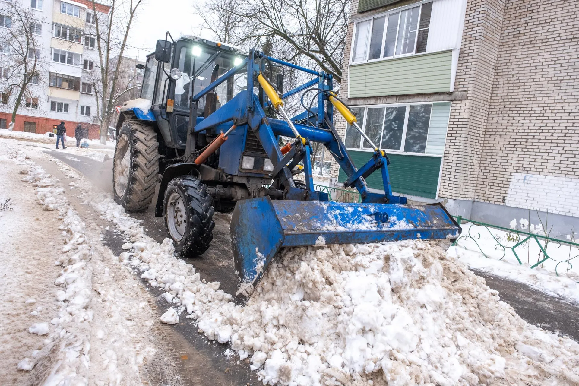 Фото: Александр Щербаков