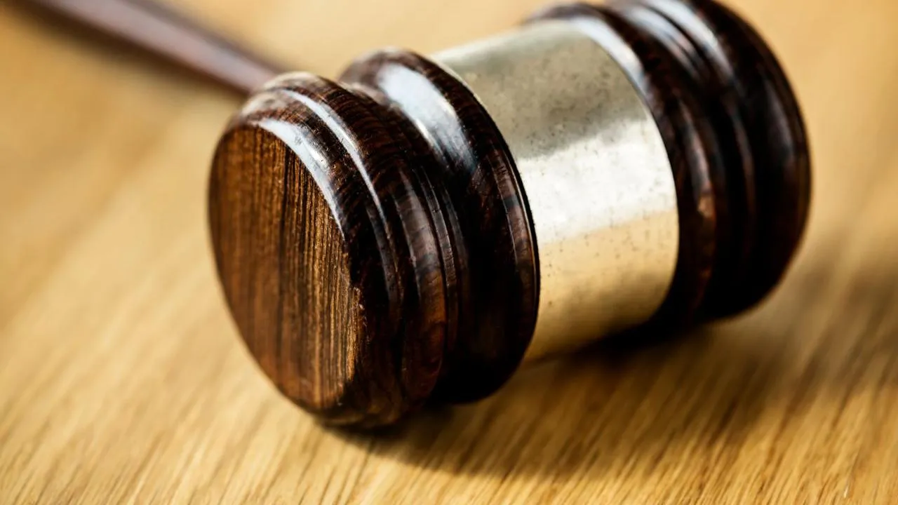 Mash: суд отобрал землю и дом иноагента-экстремиста Невзорова в Петербурге