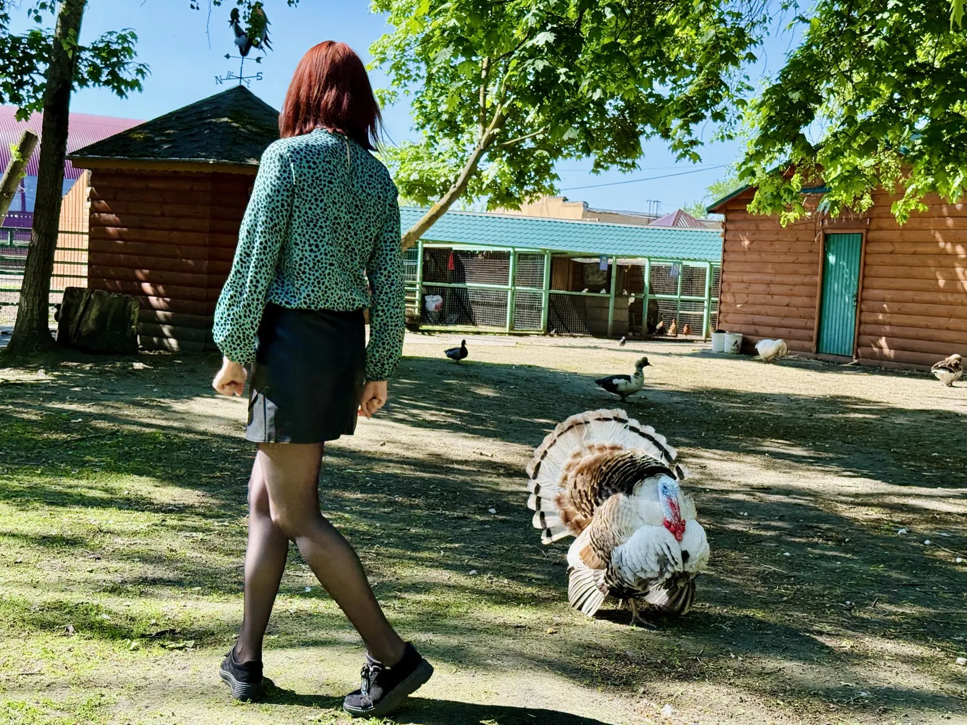 Фото: Ольга Стаферова