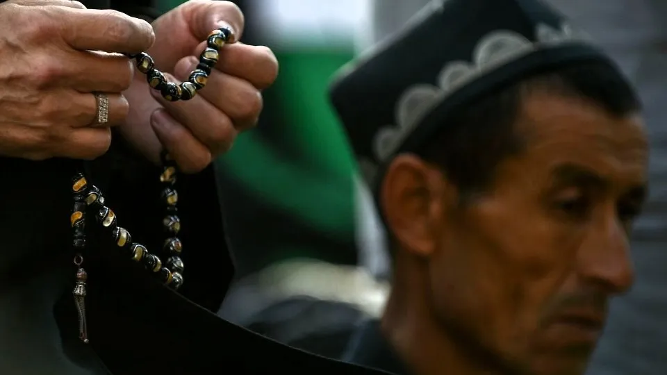 Фото: Медиаархив Подмосковья