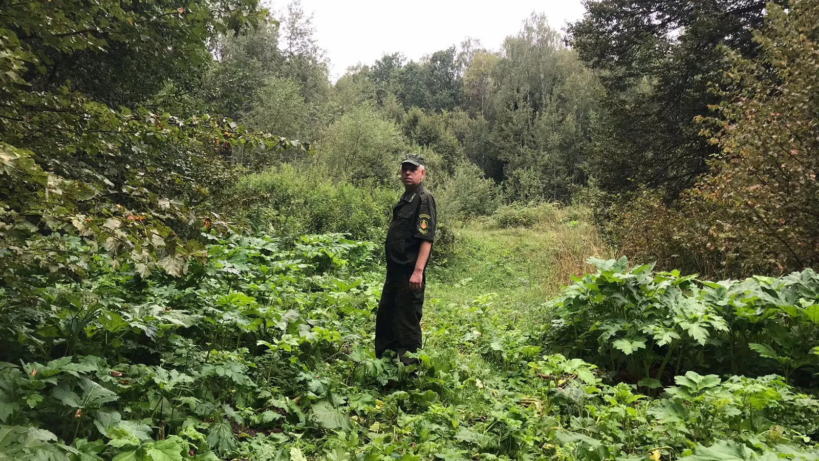 Комитет лесного хозяйства Московской области