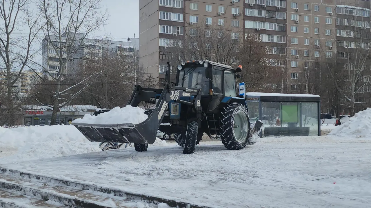 МедиаБанк Подмосковья/Наталья Лымарь