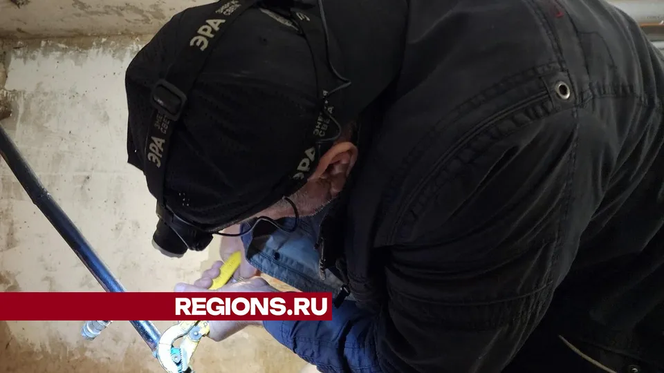 Фото: Мария Андрюхина