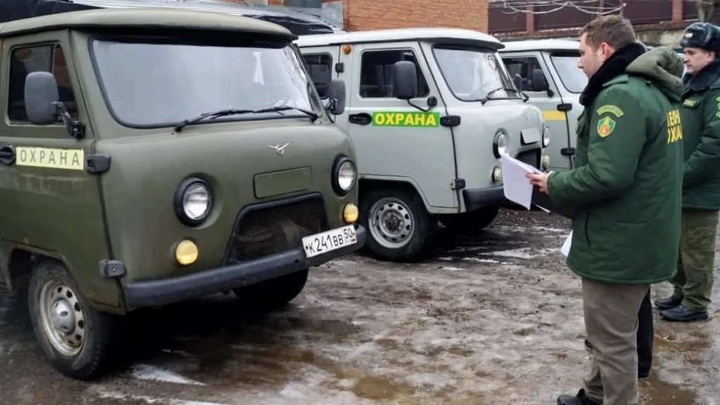 Фото: Комитет лесного хозяйства МО