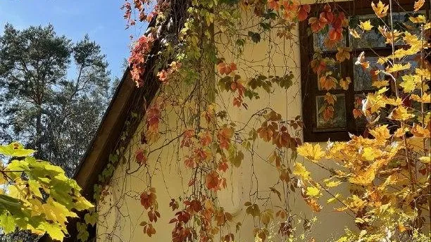 Мособлархитектура