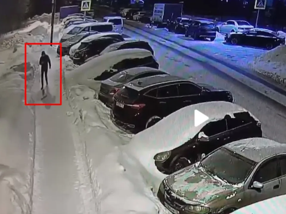 С помощью камеры на территории Ленинского г. о. был пойман серийный поджигатель. Фото:&nbsp;пресс-служба Главного управления региональной безопасности Московской области