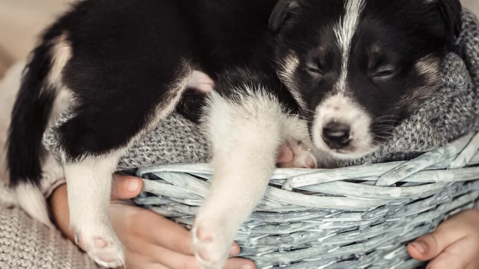 Фото: freepik.com