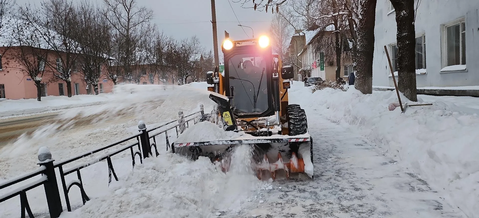Нина Басистая