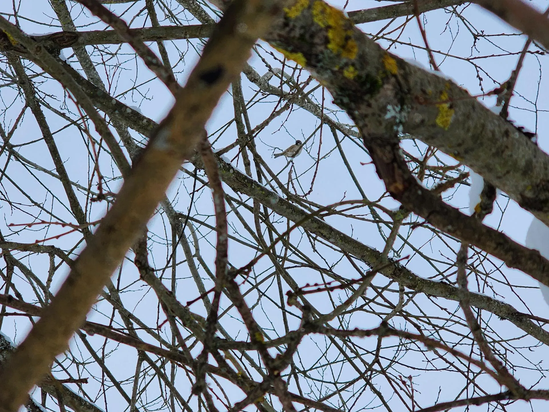 REGIONS/Елена Шумакова