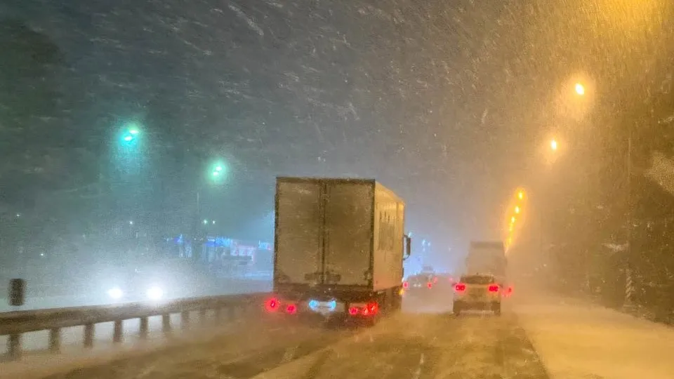 Фото: REGIONS/Владимир Ерастов