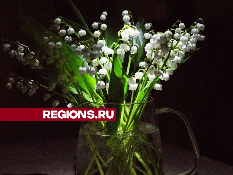 Фото: Екатерина Белякова