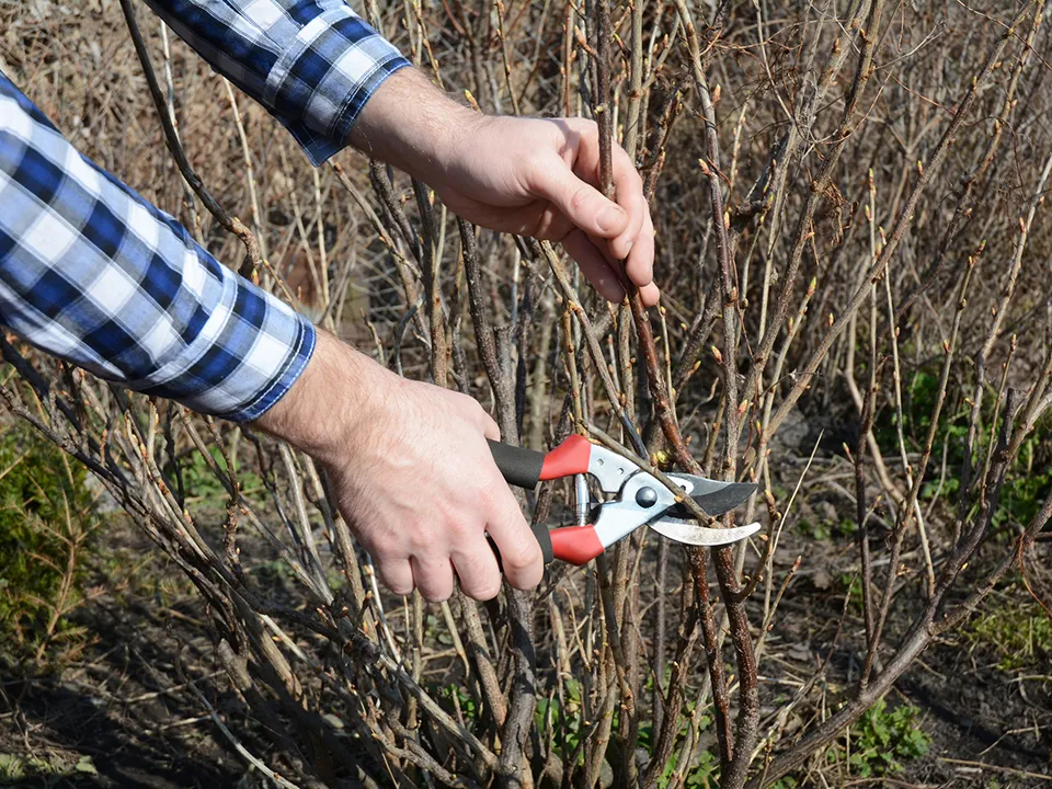 Фото: istockphoto.com