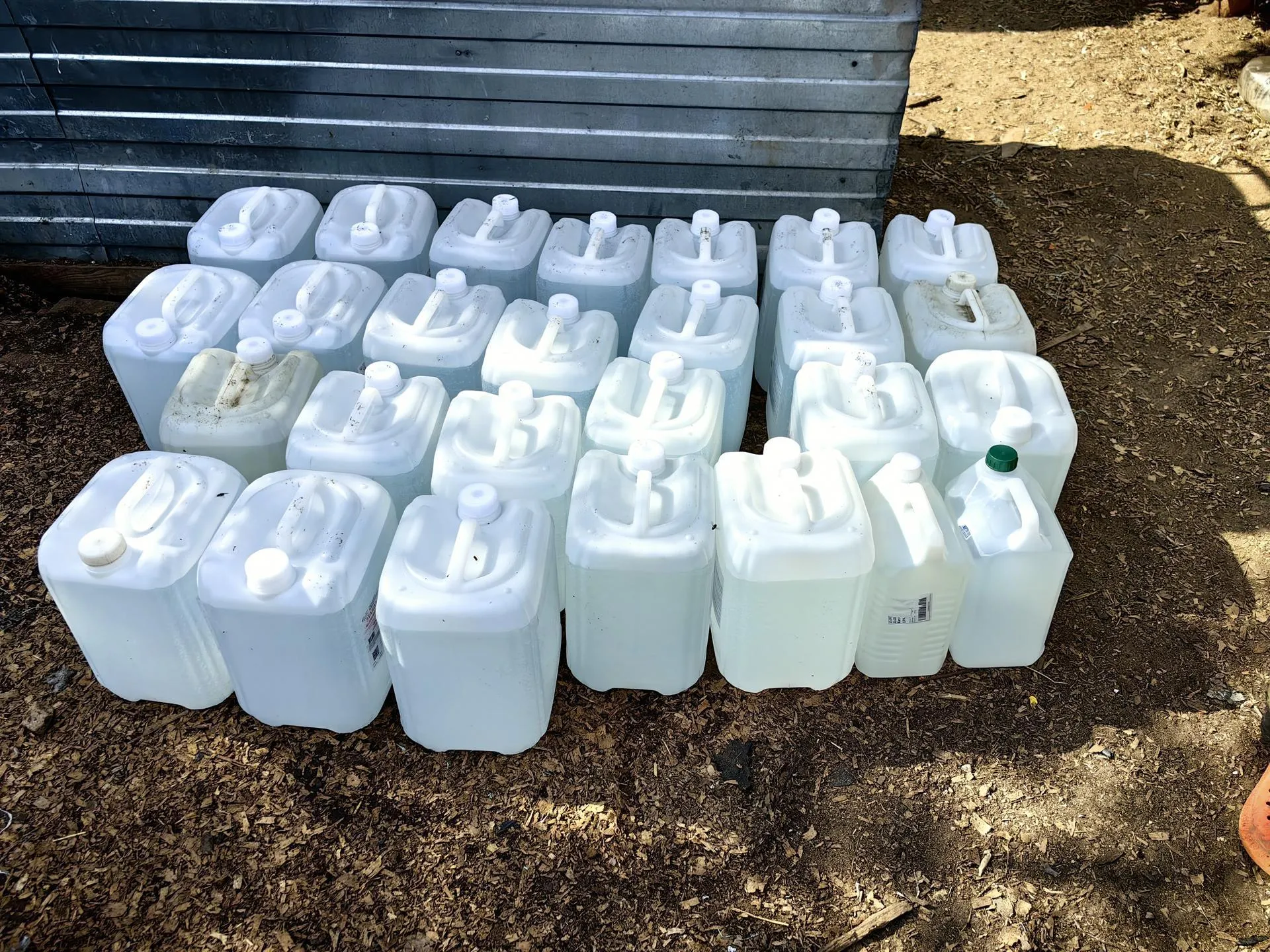 Елена Катасонова