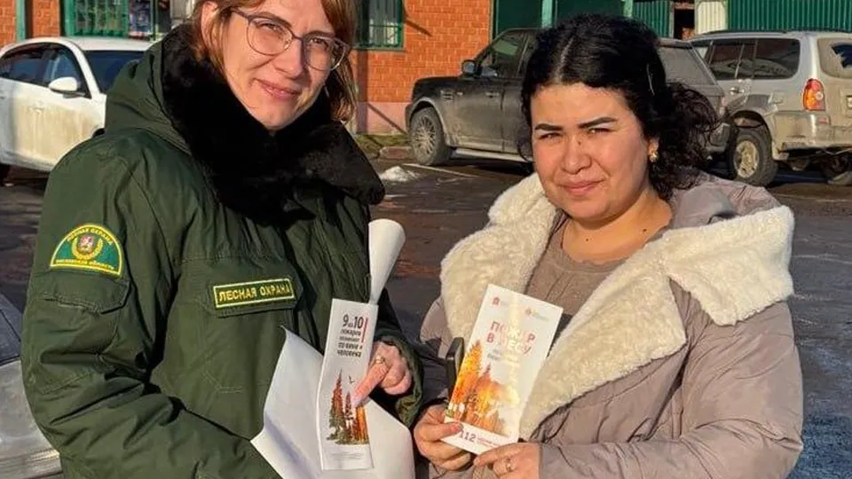 Фото: Комитет лесного хозяйства Московской области