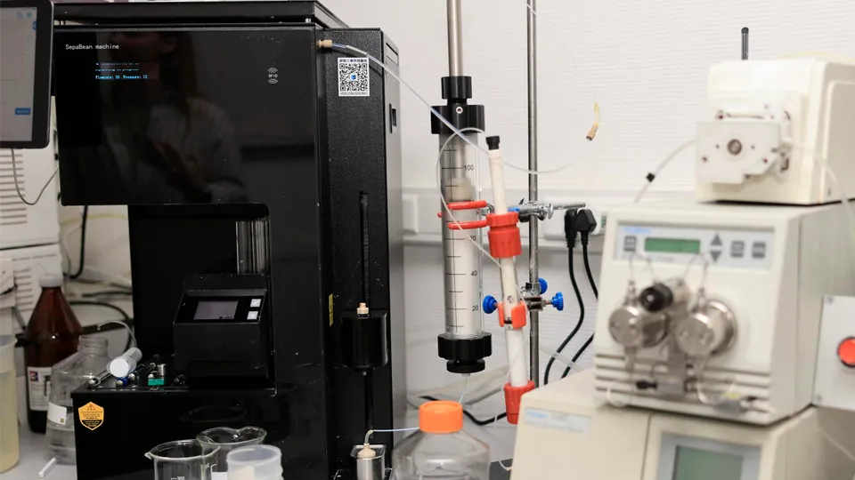 Фото: пресс-служба администрации г.о. Королев