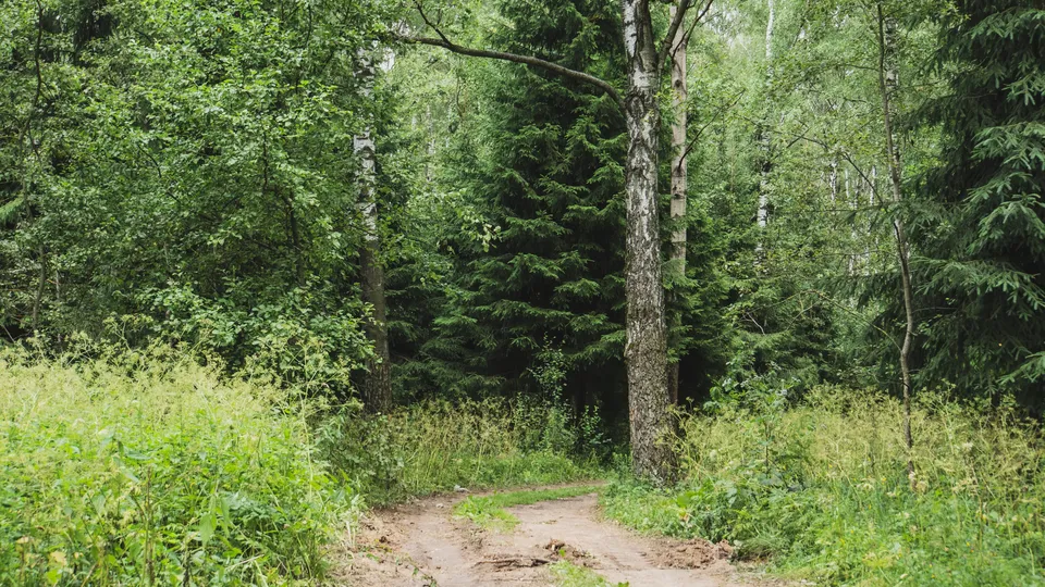 Фото: Наталия Надточая