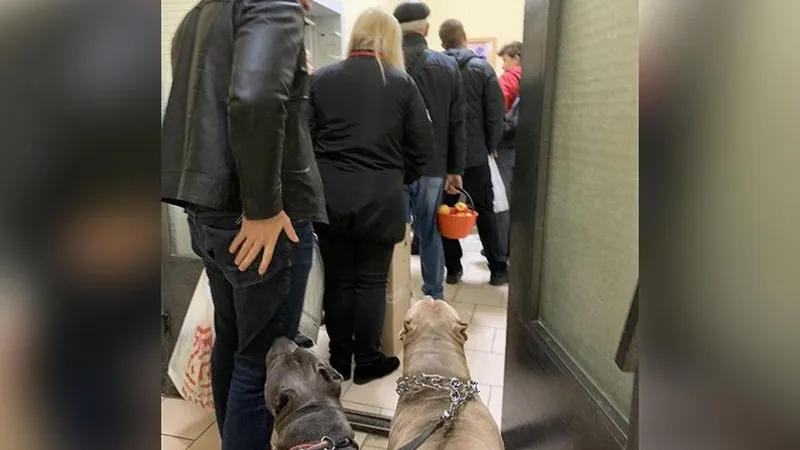 Типичный Солнечногорск ™/vk.com