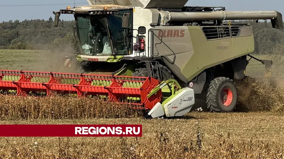 Фото: Татьяна Рунова