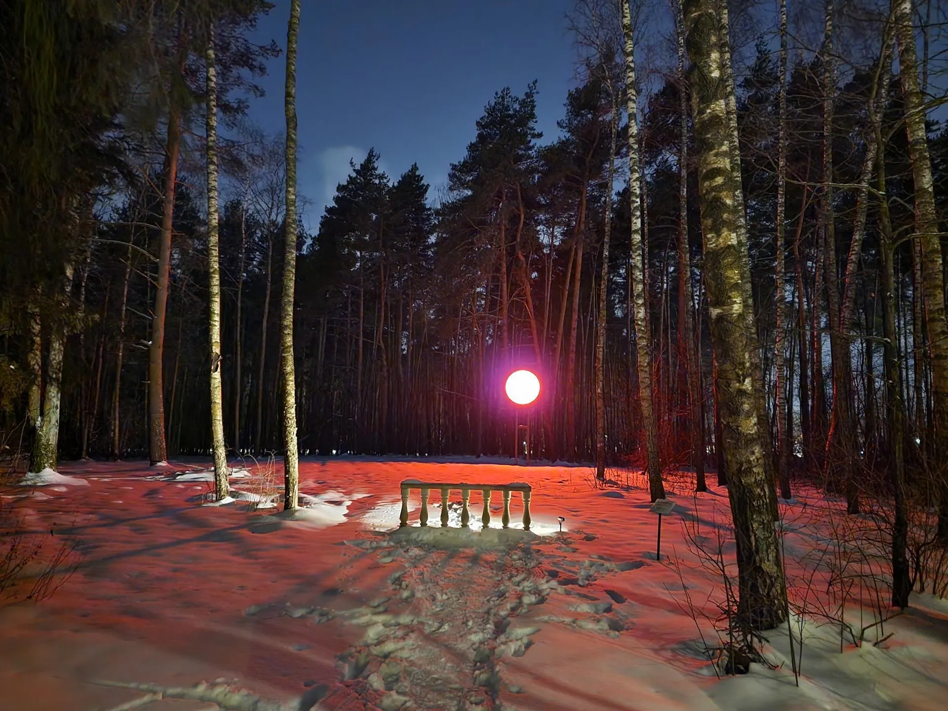 Сморкалов Никита