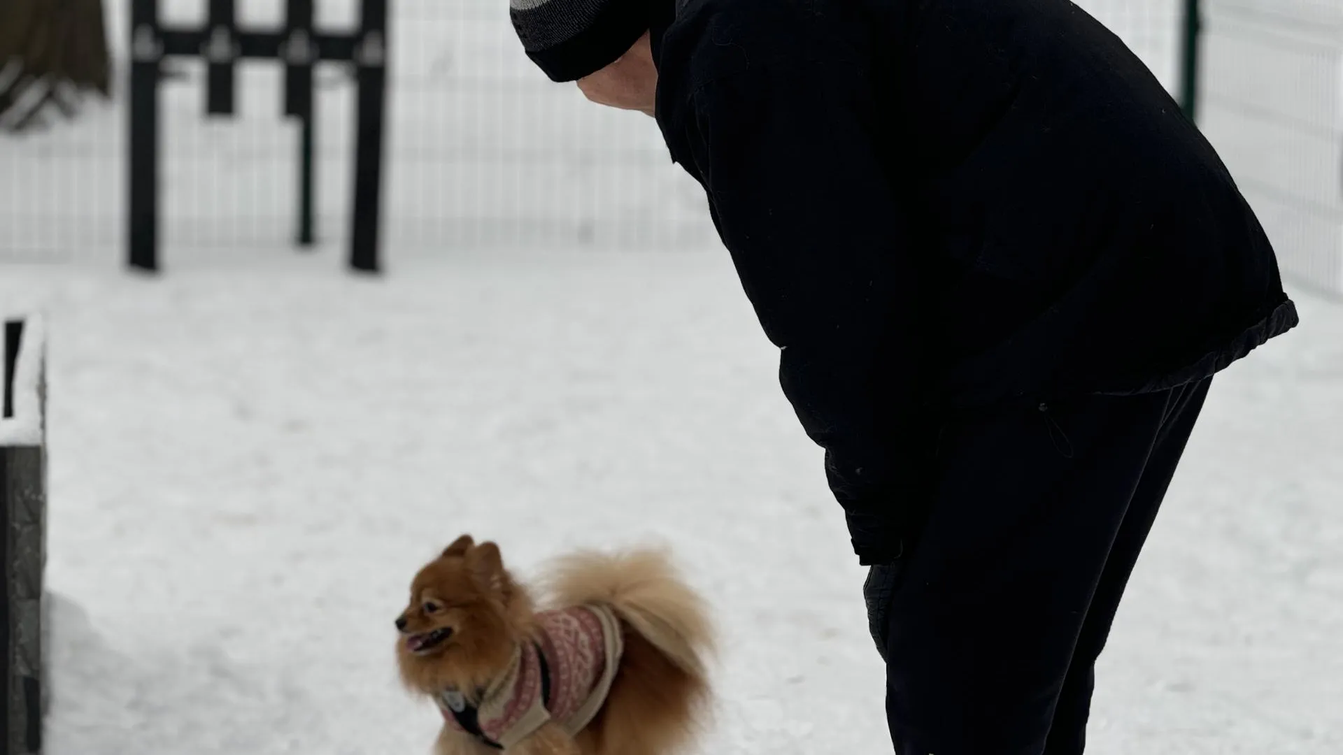 МедиаБанк Подмосковья/Полина Абраменко