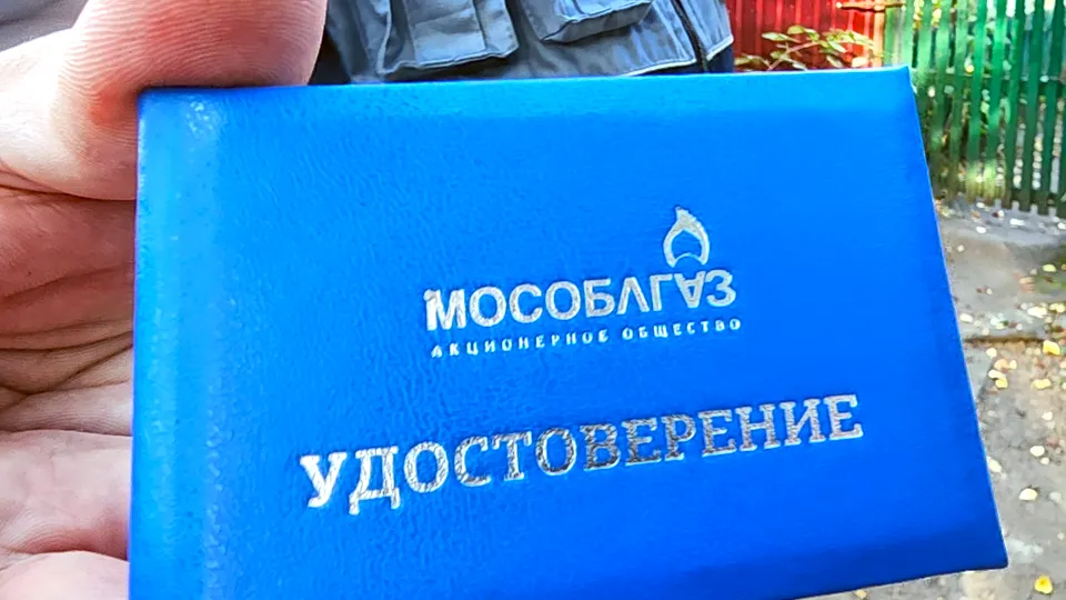 Фото: МедиаБанк Подмосковья/Никита Сморкалов