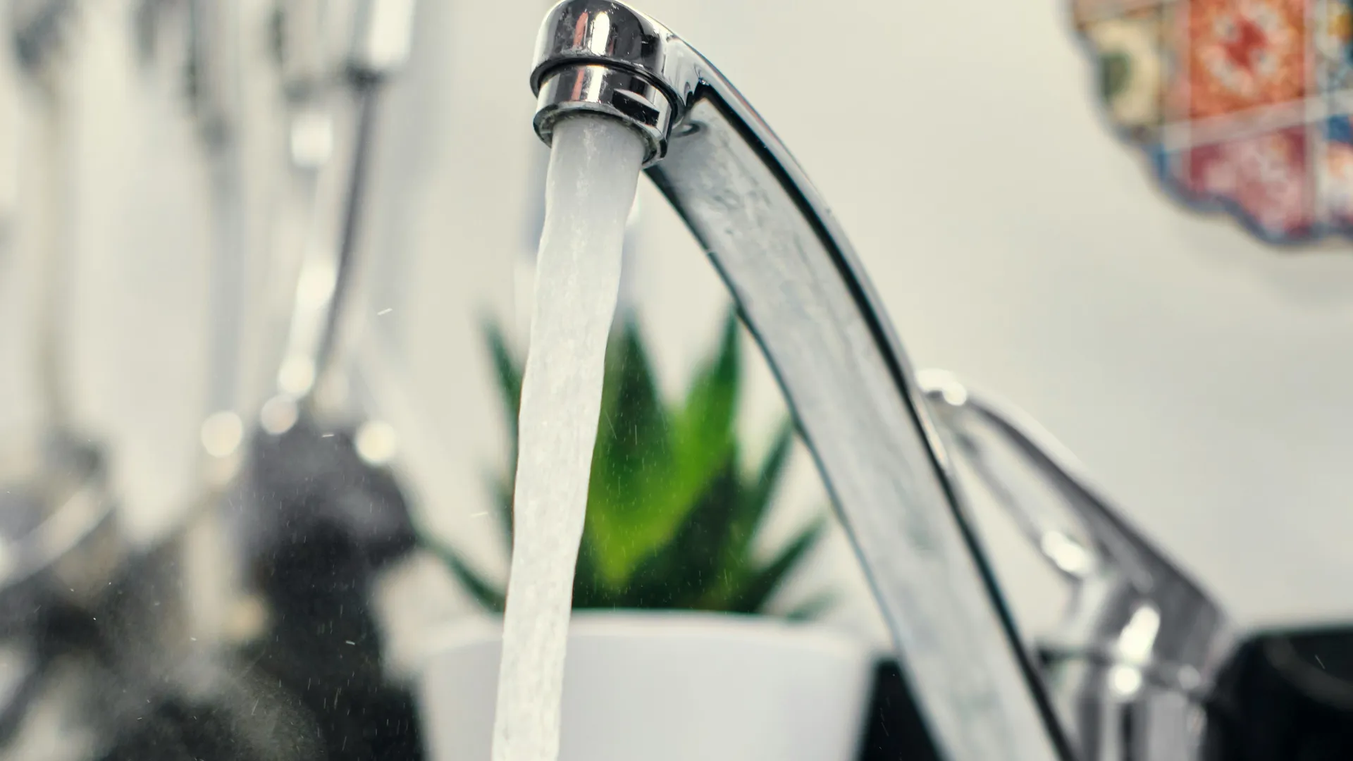 Фото: unsplash.com