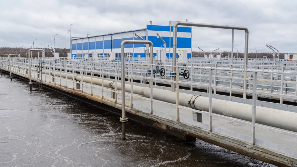 Фото: Издательство «Подмосковье»