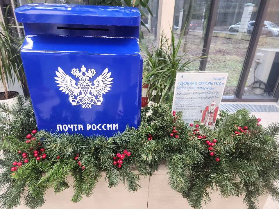 Фото: МедиаБанк Подмосковья/Кристина Ларина