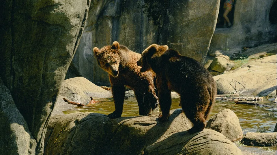 Фото: unsplash.com