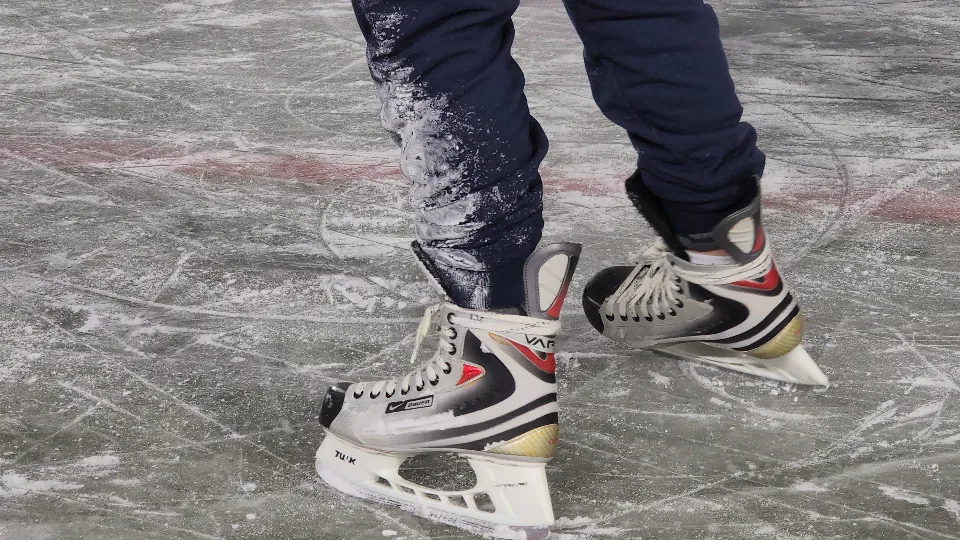 Фото: МедиаБанк Подмосковья/Артем Мишуков