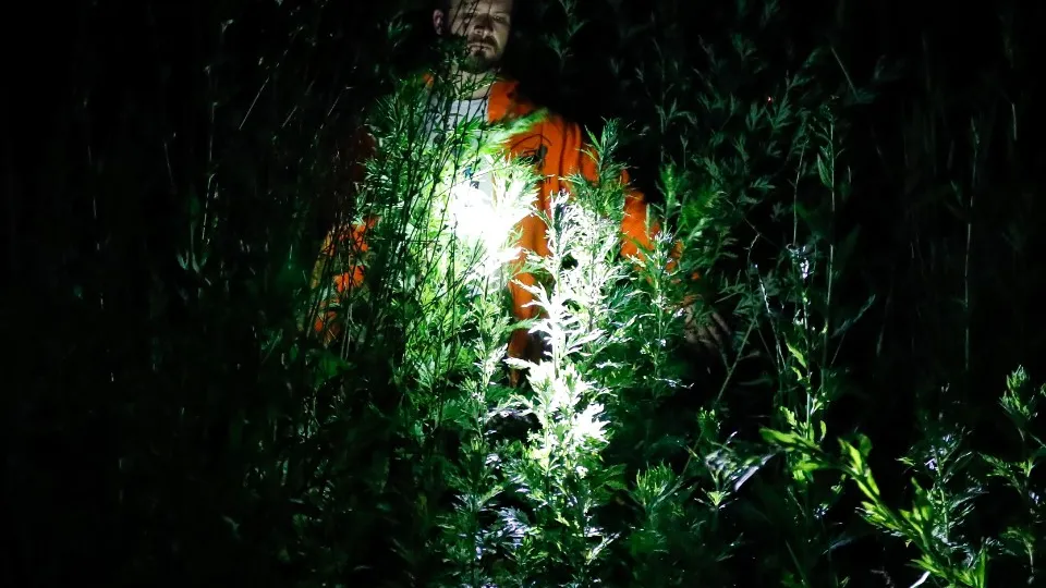 Фото: ТАСС/Артем Геодакян