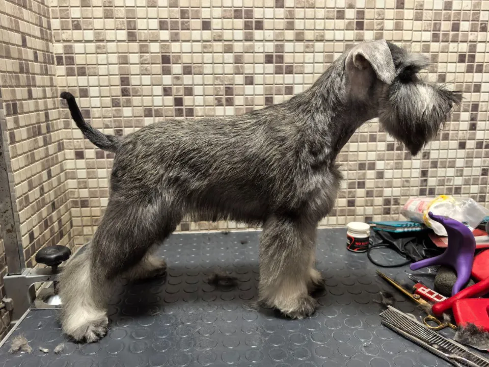 Фото: Татьяна Зеленкова