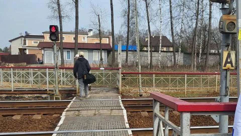 Фото: Минтранс Подмосковья