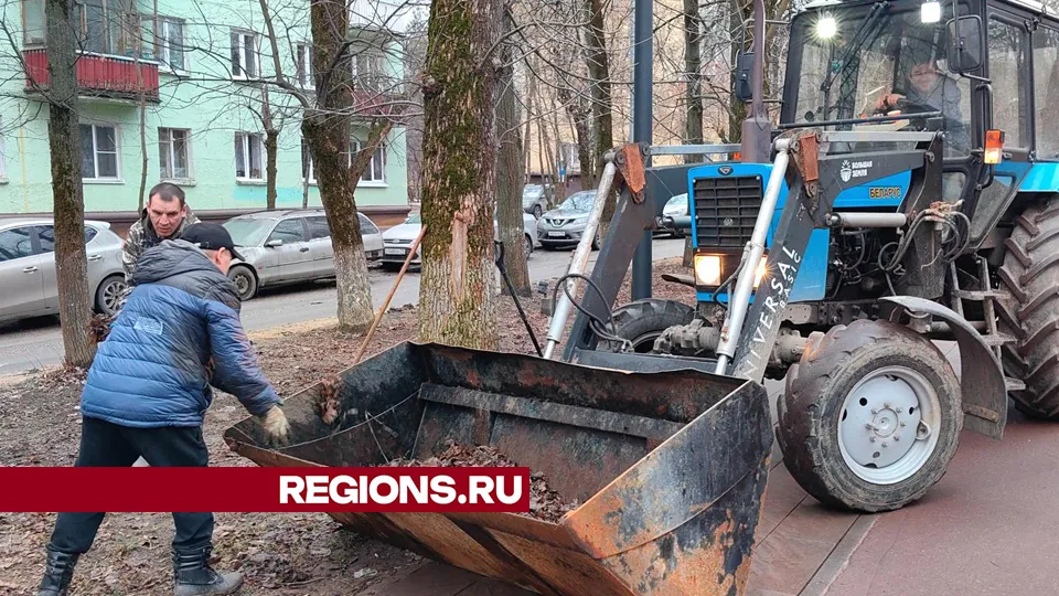 Фото: REGIONS/Елена Катасонова