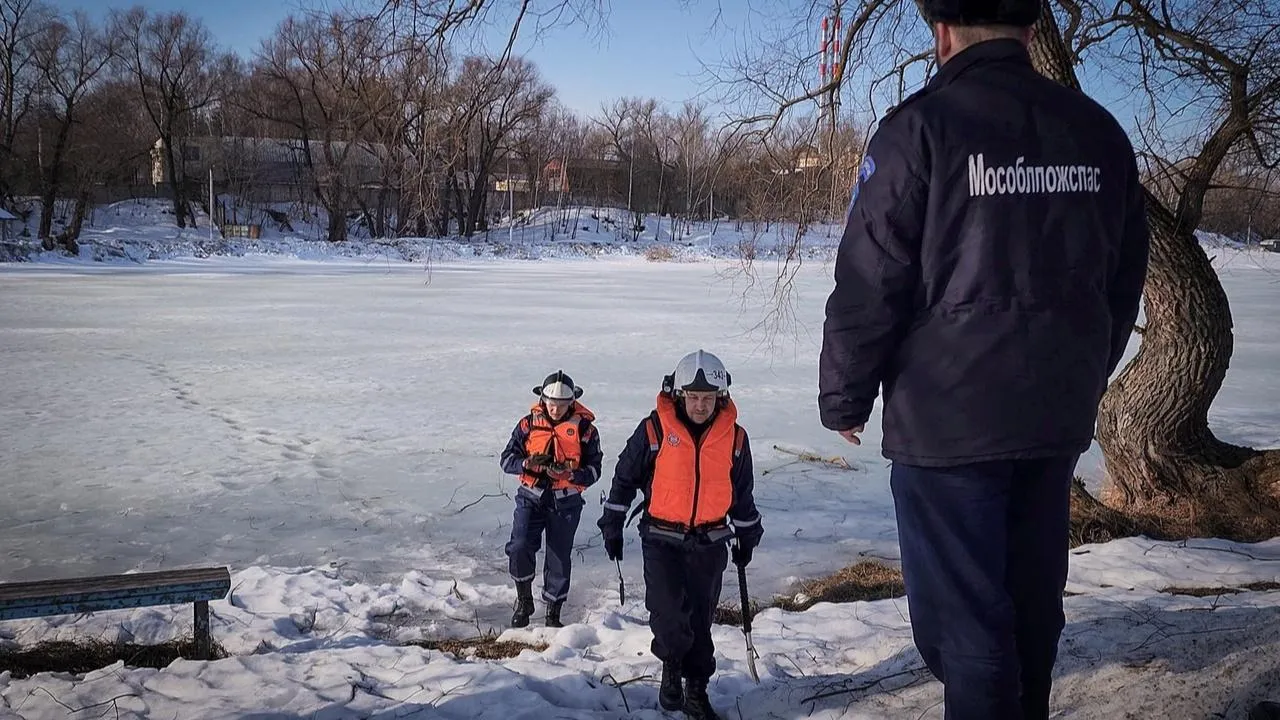 МедиаБанк Подмосковья/Ольга Антонова