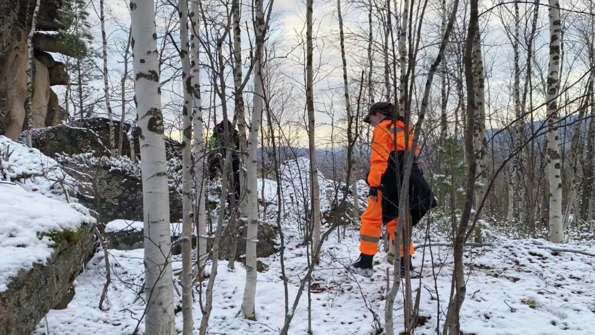 Поисковый отряд "ЛизаАлерт"/ВКонтакте