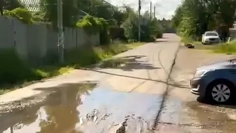 Фото: соцсети