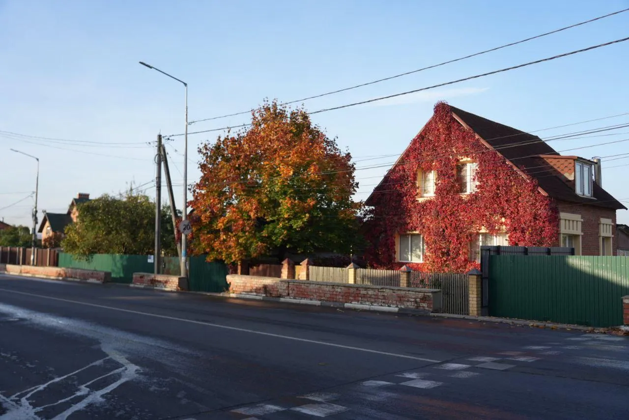 Дмитрий Зайчиков