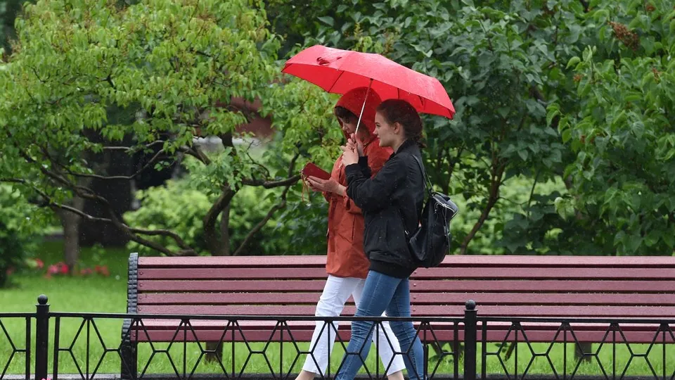 Фото: медиасток.рф