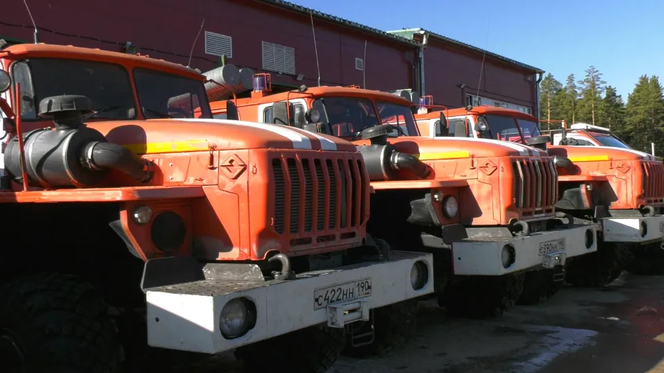 Фото: МедиаБанк Подмосковья/Андросова Юлия