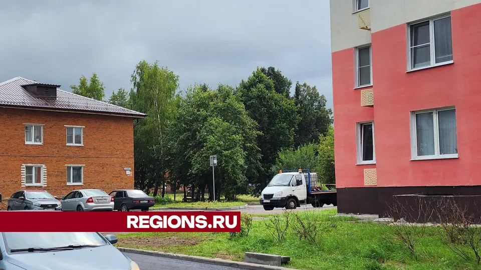 Фото: Дмитрий Беденко