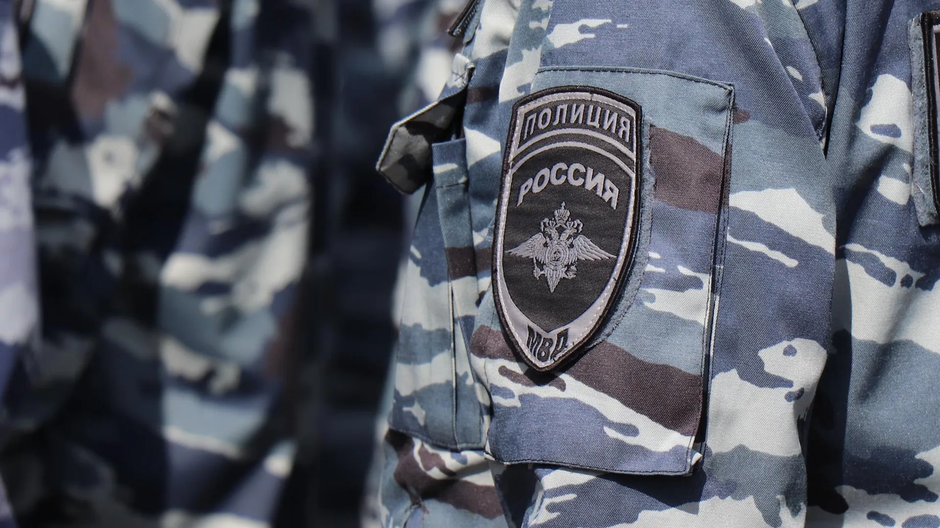 Фото: Василий Тремасов