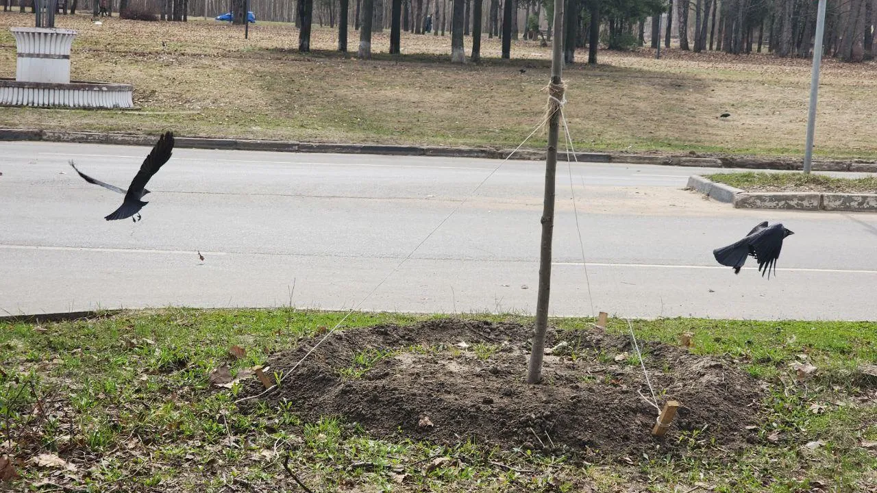 Фото: Мария Панина