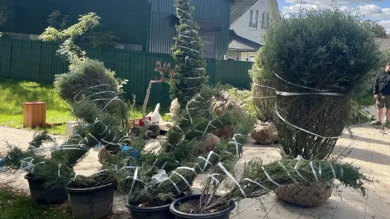 пресс-служба администрации Волоколамского округа