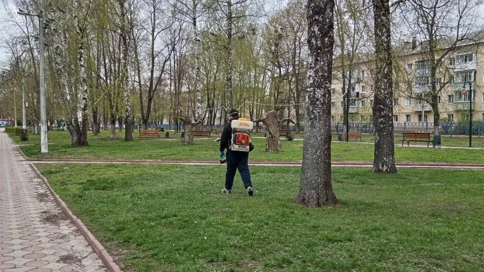 Фото: пресс-служба администрации городского округа Луховицы