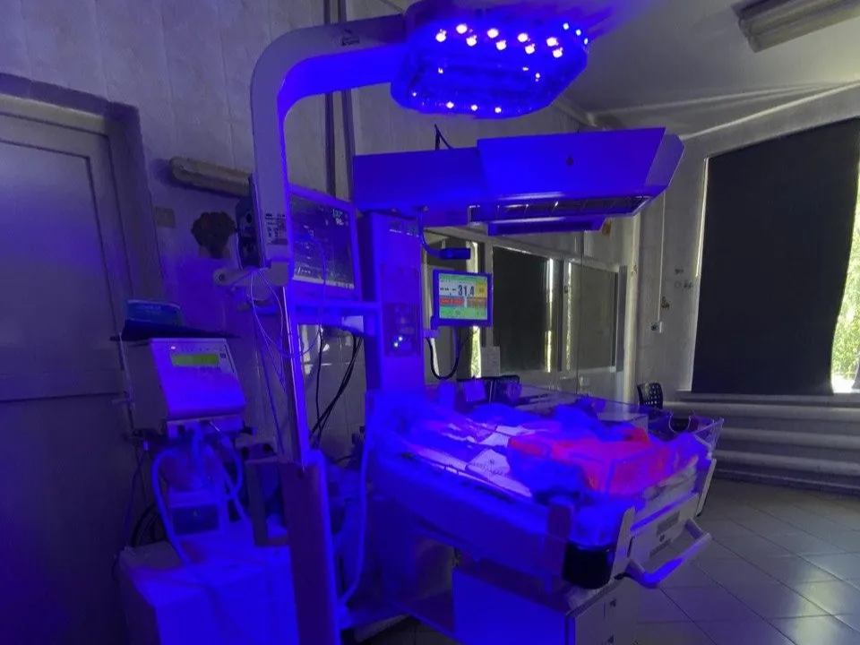 Фото: МОЦОМД