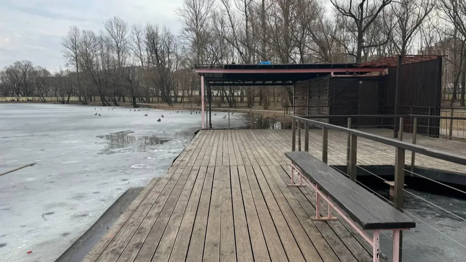 Фото: пресс-служба администрации г.о. Реутов