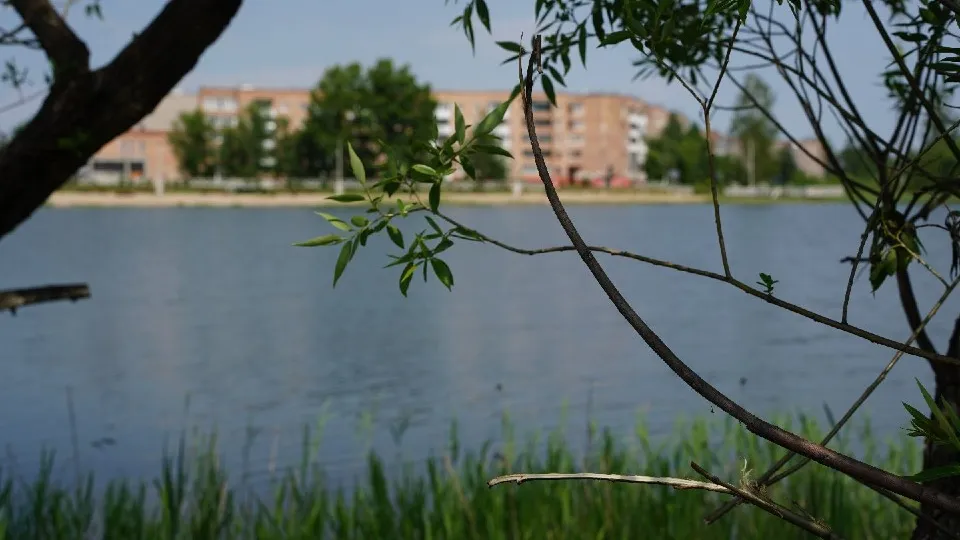 Фото: МедиаБанк Подмосковья/Анастасия Хренкова