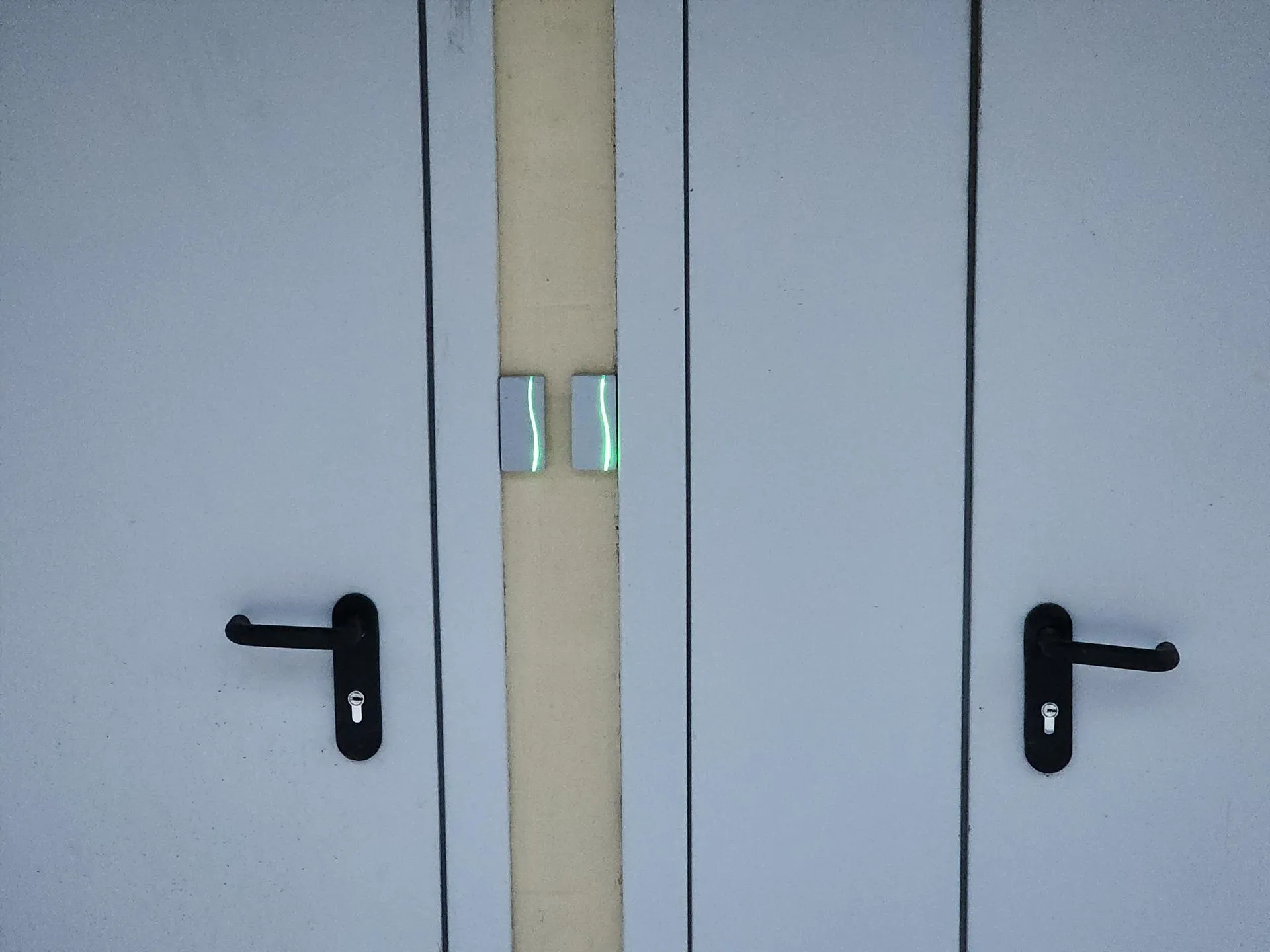 Дмитрий Павлов