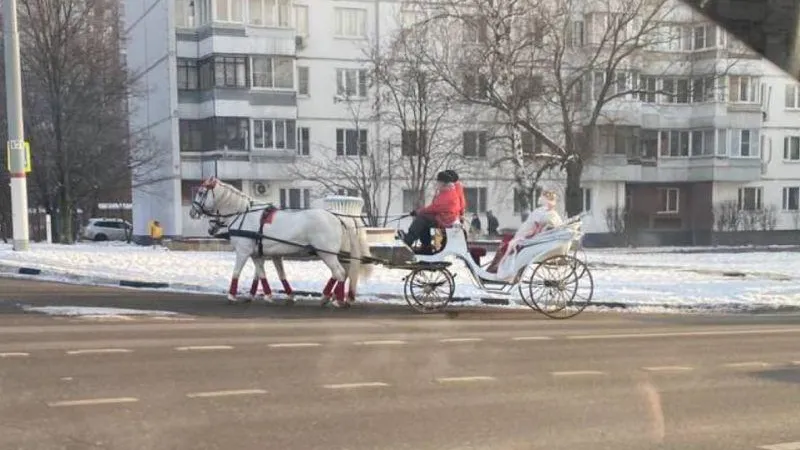 В Химках заметили упряжку лошадей с Дедом Морозом